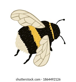 Bumblebee isolated on white background. Abstract insect for pollination in black and yellow color in doodle style vector illustration.