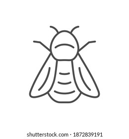 Bumblebee line outline icon or insect concept