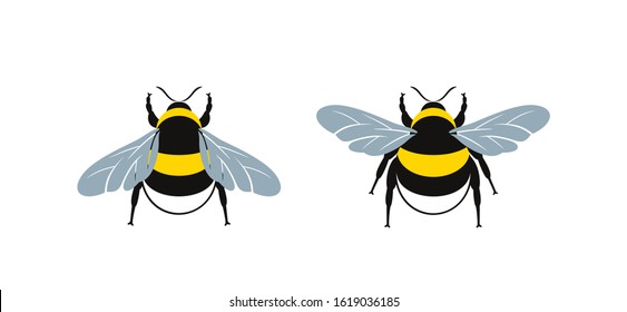 Bumblebee logo. Isolated bumblebee on white background. Wasp