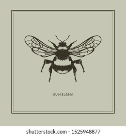 Bumblebee on a beige background in a realistic style. Drawn. Perfect for printing, interior, poster, brand, wall painting, printing on clothes, furniture items. Vector illustration.