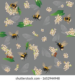 Bumblebee seamless pattern with buckwheat flowers and insect wings on gray