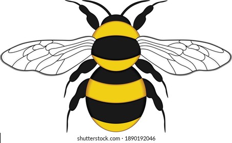 Bumblebee vector drawing, top view 