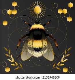 Bumblebee vector drawing, top view. Highly detailed vector hand drawn illustration.