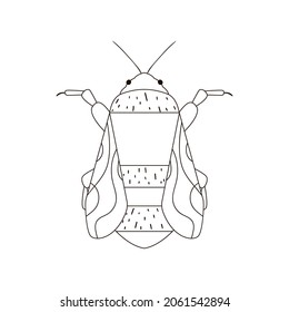 Bumblebee vector icon. Outline illustration