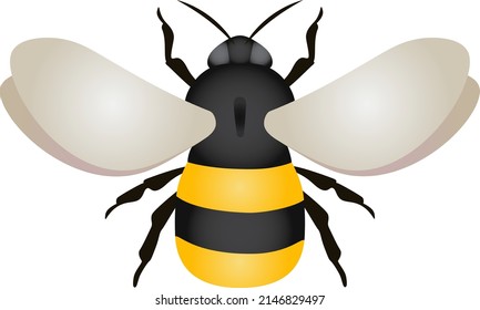 bumblebee vector illustration with gradient effect.