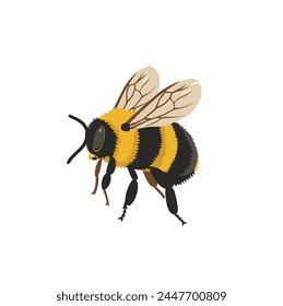 Bumblebee vector illustration, isolated on white background