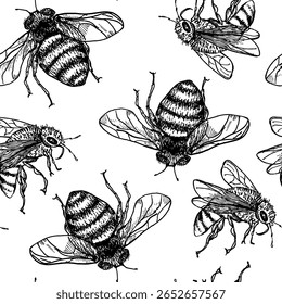 Bumblebees and bees black white outline vector seamless pattern. Bee and wasps hand drawn monochrome repeated background. Ink illustration fly insects for organic honey packaging, entomology print.