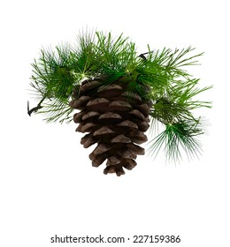 bump with spruce twigs. Vector 