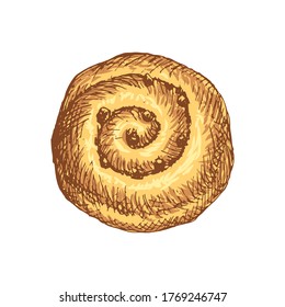 Bun with chocolate, raisins isolated on white background. Bakery product. Hand Drawn vector illustration.