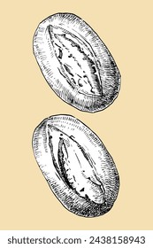Bun. Homemade breads, hand drawn sketch, vector illustration 
