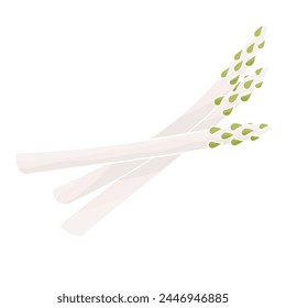 bunch of asparagus color vector illustration