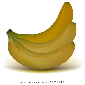 The bunch banana. Illustration in vector format EPS.