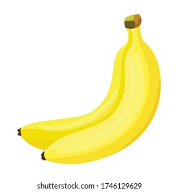 Bunch banana vector icon.Cartoon vector icon isolated on white background bunch banana.