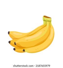 Bunch of bananas, food product vector illustration. Cartoon isolated yellow sweet banana in peel, exotic ripe cultivated fruit from jungle, raw natural whole five fruit for healthy vegan snack