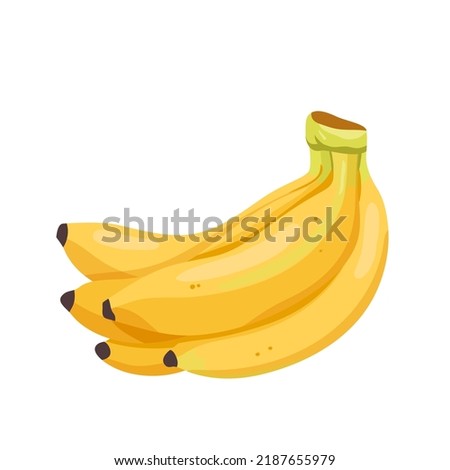 Bunch of bananas, food product vector illustration. Cartoon isolated yellow sweet banana in peel, exotic ripe cultivated fruit from jungle, raw natural whole five fruit for healthy vegan snack