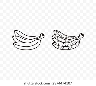 Bunch of bananas, fresh, spotted or spoiling, linear graphic design. Fruit, fruity, food, meal, nourishment and nature, vector design and illustration