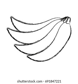 bunch of bananas fruit fresh natural
