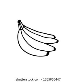 Bunch de bananas aisladas de fondo blanco. Dibujo de frutos vectoriales. Nutrición orgánica alimento sano. Ilustración dibujada a mano de esquema para etiqueta, afiche, impresión o icono