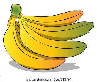 Bunch of bananas isolated on white background. Vector illustration. Comic book, cartoon style art.