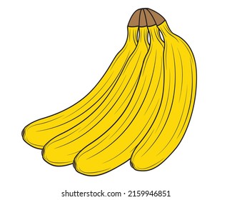 Bunch of bananas isolated on white background in clipart style. Vector illustration.