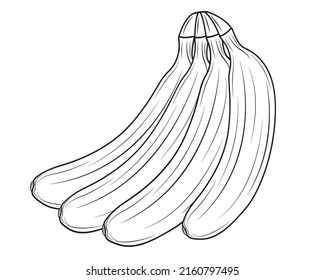 Bunch of bananas isolated on white background in clipart style. Vector illustration.