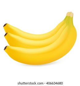 Bunch of bananas isolated on white background. Realistic vector illustration.