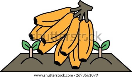 A bunch of bananas are on a table. The bananas are ripe and ready to eat. The bananas are yellow and have a slightly curved shape