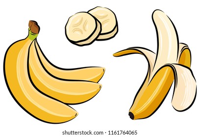 Bunch of bananas, peeled banana, slices of banana, isolated illustration