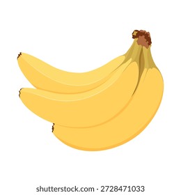 Bunch of bananas. Three simple hand drawn bananas.
