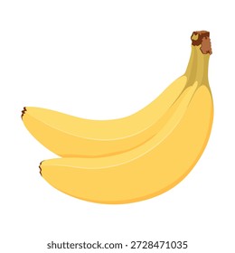  Bunch of bananas. Two simple hand drawn bananas.