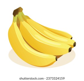 Bunch of bananas vector illustration isolated on white background