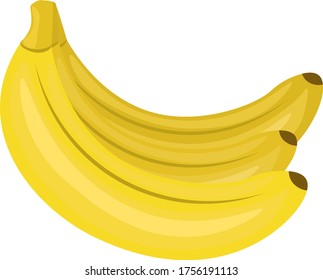 A bunch of bananas. Vector illustration on a white isolated background.