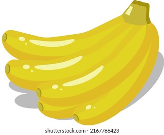 Bunch of bananas vector. Illustration of ripe bananas.