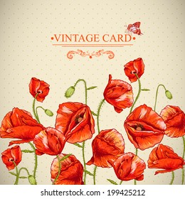 Bunch of Beautiful Red Poppy vector illustration Vintage Invitation Floral Card Design with Poppy. 