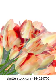 Bunch of beautiful spring flowers. And also includes EPS 10 vector
