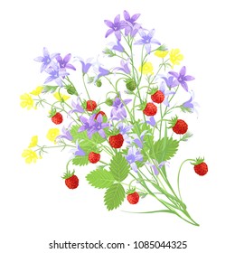 Bunch of bellflowers, buttercups and strawberries, hand drawn vector imitation of watercolor painting.