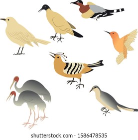 Bunch of Birds and flamingo Vector