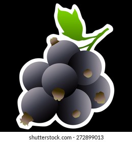 Bunch of black currants with green leaf on the black background