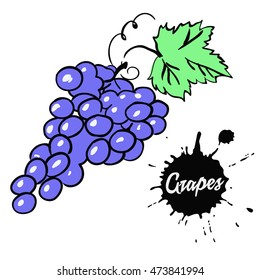 Bunch of black grapes