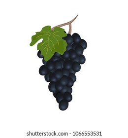 a bunch of black grapes with a green leaf