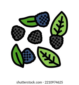 bunch of blackberries ripe leaf color icon vector. bunch of blackberries ripe leaf sign. isolated symbol illustration