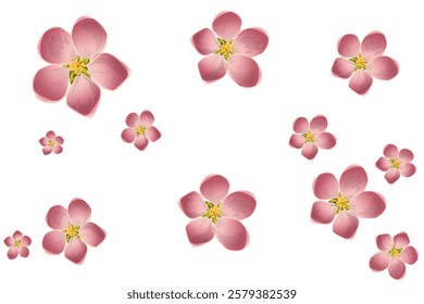 a bunch of blooming flowers without a background