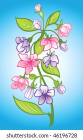 bunch of blossom cherry
