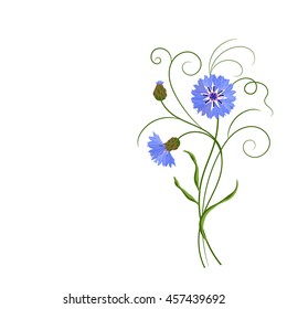 Bunch of blue cornflowers isolated on white. Vector illustration.