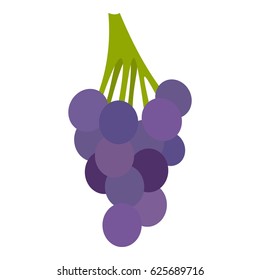 Bunch of blue grapes icon flat isolated on white background vector illustration