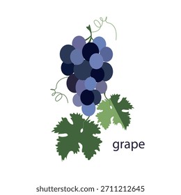 Manojo de uvas azules con la ilustración plana del diseño de las hojas para el Web, para el objeto del elemento del diseño de la impresión, para el diseño del producto