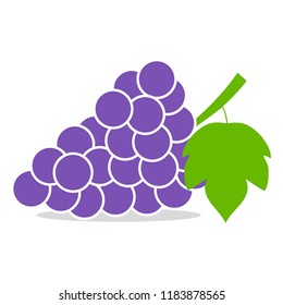 Bunch of blue grapes with leaves isolated on white background. Vector illustration.