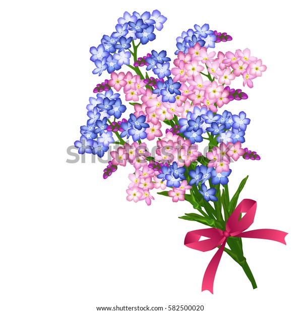 Bunch Blue Pink Forgetmenot Spring Flowers Stock Vector Royalty Free 582500020