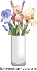 Bunch Of Blue, Pink And Yellow Irises In Tall White Ceramic Vase. Isolated On White Background