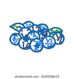Blueberries Blatt doodle Symbol Skizze Vektor. Blueberries-Schild. einzelne Symbolgrafik